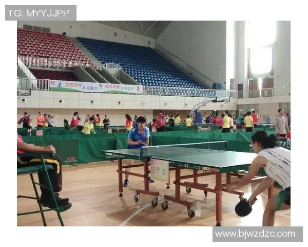 广州乒乓球队的崛起与发展：探秘乒乓球背后的力量与精神