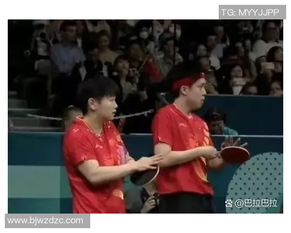 武汉乒乓球队的崛起之路与总决赛背后的奋斗故事